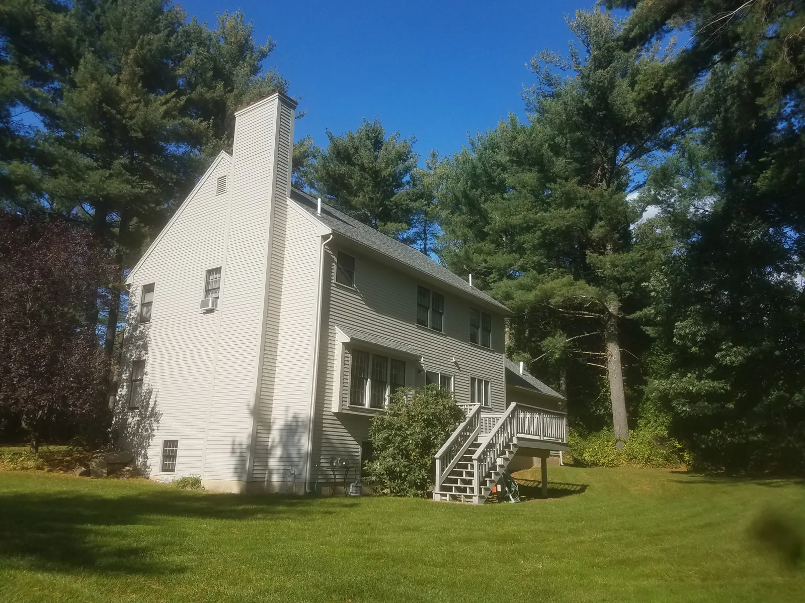 White saltbox among tall pines