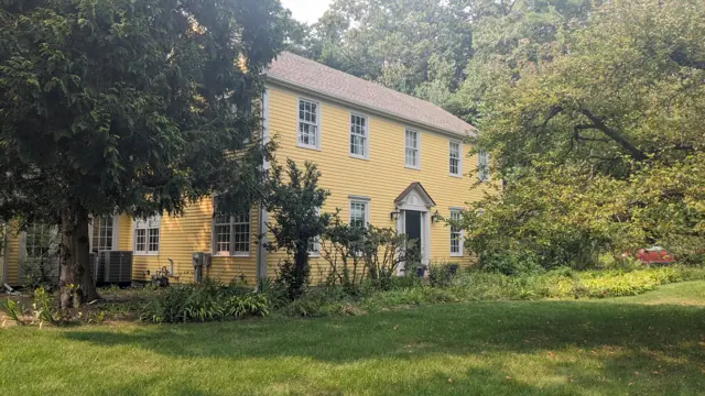 Yellow colonial set in the trees